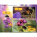 Дополнительное изображение книги «Welcome to Our World 2. Student`s Book»