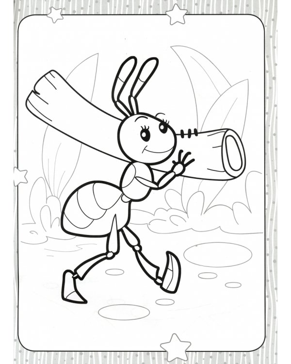 Мир насекомых