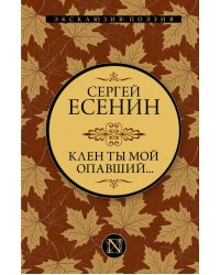 Клен ты мой опавший... 