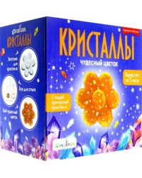 Набор для экспериментов. Фигурный кристалл. Цветок оранжевый