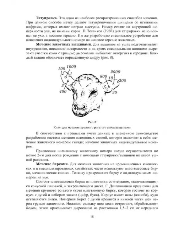 Технология производства продукции животноводства. Практикум. Учебное пособие для СПО
