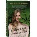 Стрекоза летит на север
