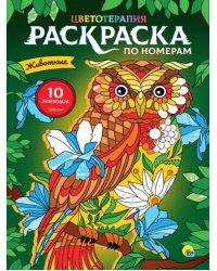 Раскраска по номерам. Животные