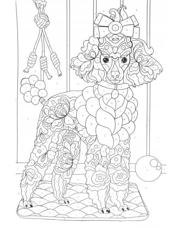 Раскраска по номерам. Животные