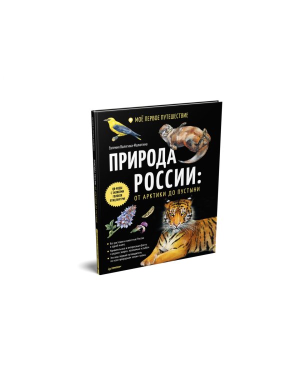 Природа России. От Арктики до пустыни. Моё первое путешествие