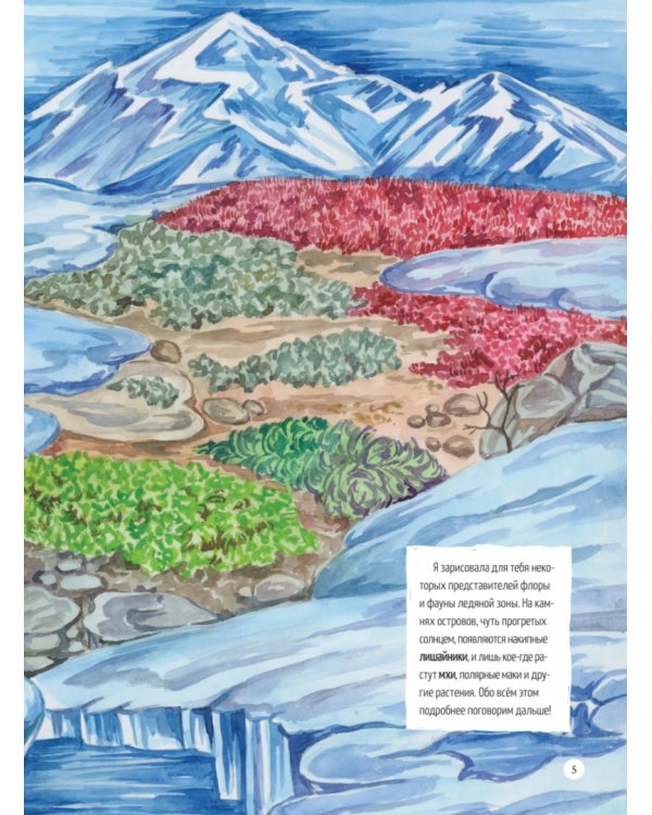 Природа России. От Арктики до пустыни. Моё первое путешествие