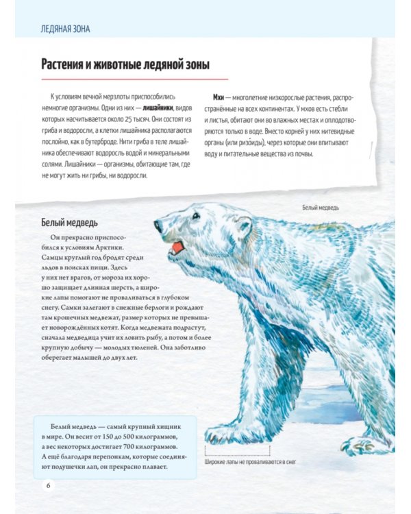 Природа России. От Арктики до пустыни. Моё первое путешествие