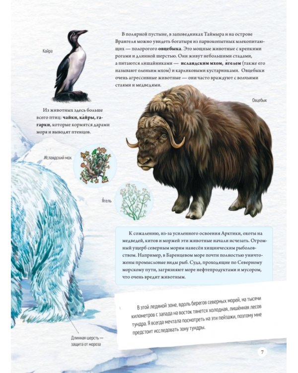 Природа России. От Арктики до пустыни. Моё первое путешествие