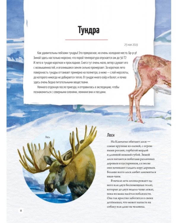 Природа России. От Арктики до пустыни. Моё первое путешествие
