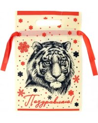 Мешочек &quot;Поздравляю&quot;, 20х30х0,2 см