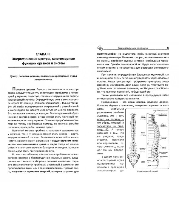 Концептуальная эниология. Краткое практическое пособие по нормализации многомерного организма