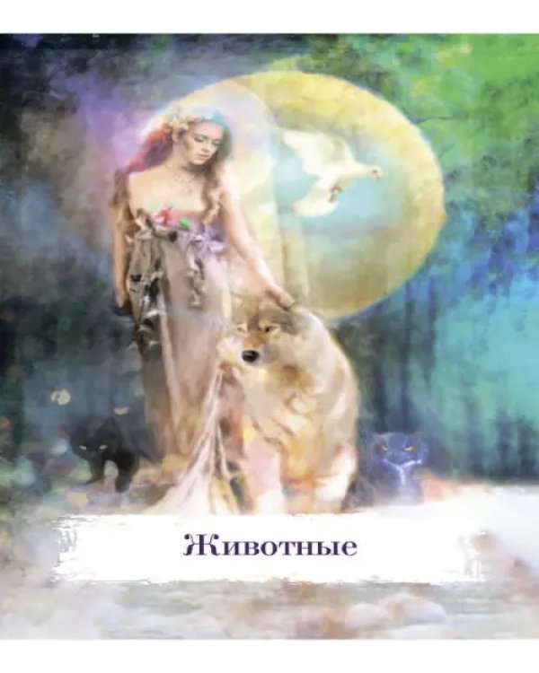 Магические карты-заклинания