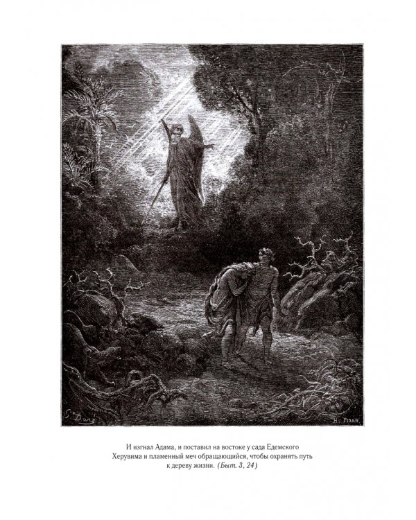 Библия. Книги Священного Писания Ветхого и Нового Завета