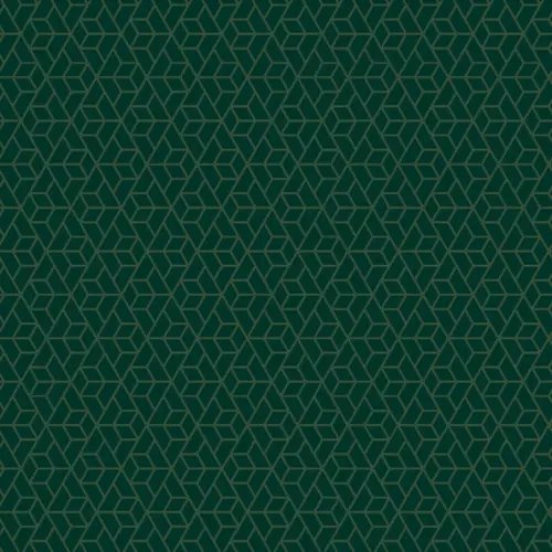 Упаковочная бумага "Dark green", глянец, 70x100 см, 90 г/м2 Упаковочная бумага "Dark green", глянец, 70x100 см, 90 г/м2