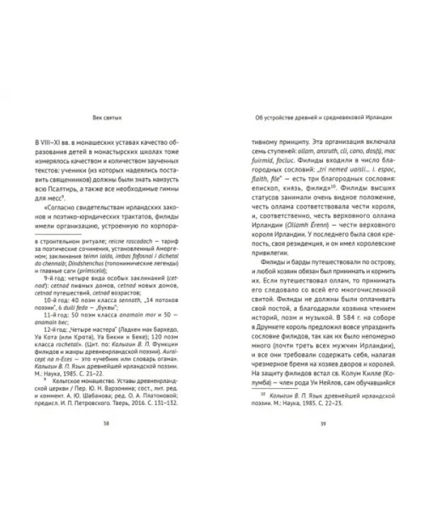 Век святых. Мир ирландского монашества до английского завоевания