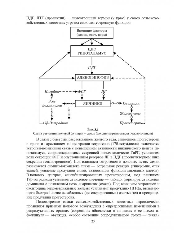 Дополнительное изображение книги «Ветеринарная гинекология»