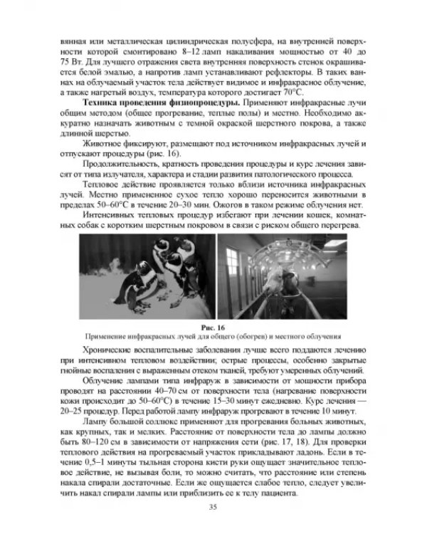 Дополнительное изображение книги «Ветеринарная физиотерапия. Учебное пособие для вузов»