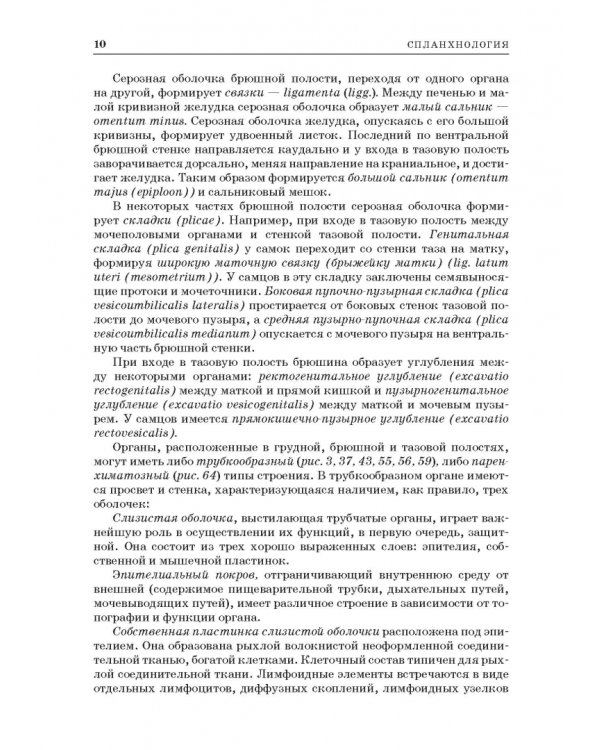 Анатомия животных. Спланхнология и ангиология. Практикум. Учебное пособие для вузов
