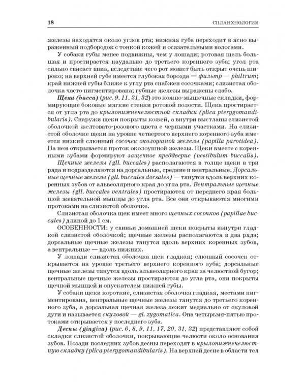 Анатомия животных. Спланхнология и ангиология. Практикум. Учебное пособие для вузов