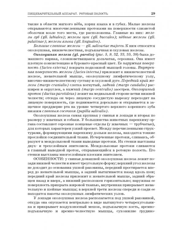 Анатомия животных. Спланхнология и ангиология. Практикум. Учебное пособие для вузов