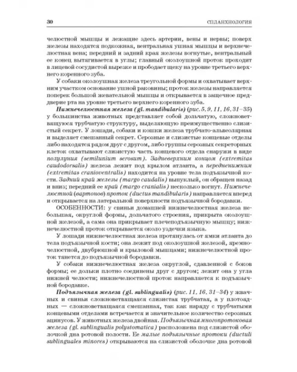 Анатомия животных. Спланхнология и ангиология. Практикум. Учебное пособие для вузов