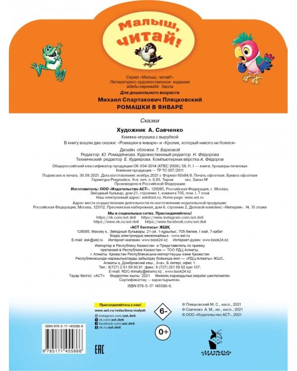 Ромашки в январе