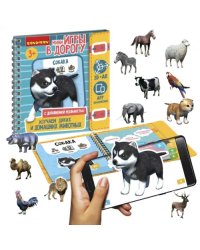 Мини-игры в дорогу. Изучаем диких и домашних животных