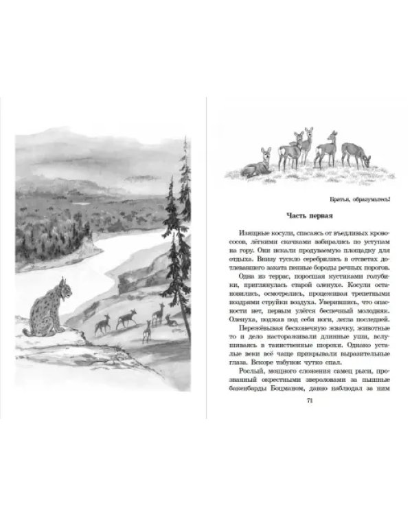Таежными тропами