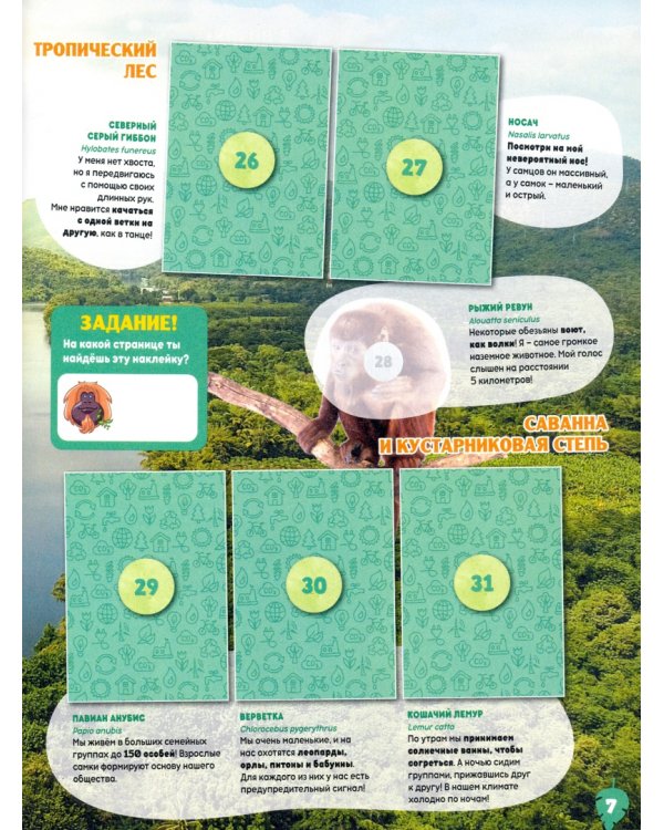 Альбом для наклеек. Все для планеты. Animals