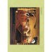 Дополнительное изображение книги «Великие мастера. Алексей Венецианов»
