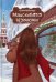 Обложка книги «Разыскивается незнакомка» — Набокова Юлия Валерьевна, ISBN 9785517072481