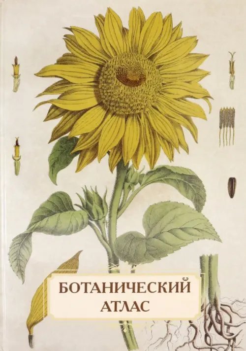 Обложка книги «Ботанический атлас. Н.П. Животовский» — Иванов С., ISBN 9785359013864