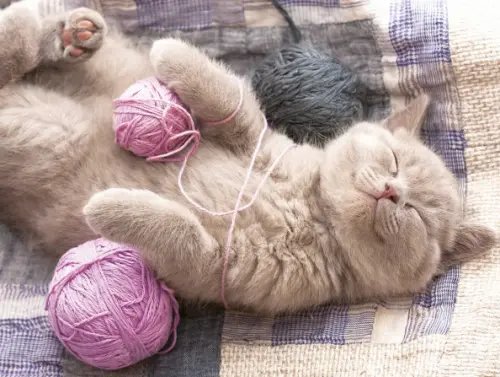 Алмазная мозаика. Котенок с клубком, 30x40 см Алмазная мозаика. Котенок с клубком, 30x40 см