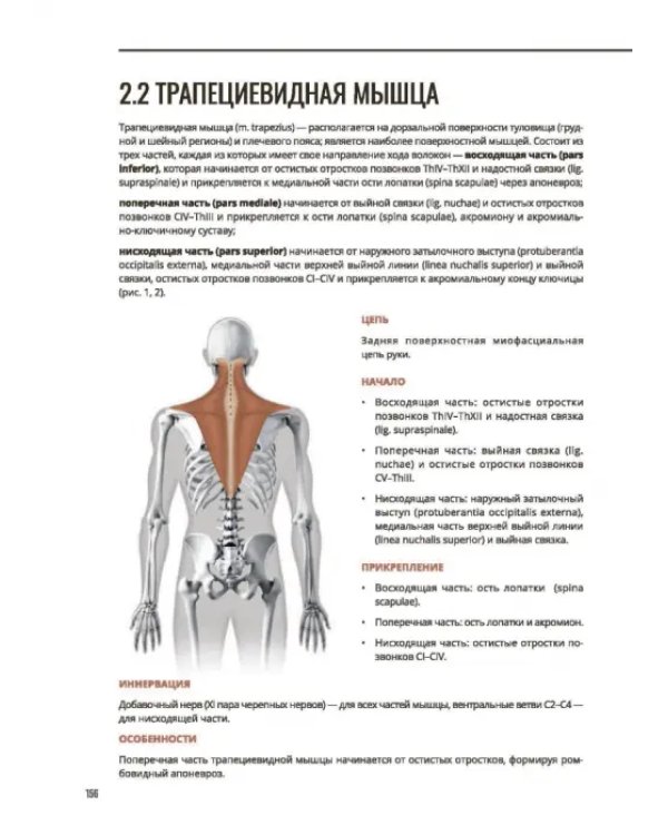 Мануальное мышечное тестирование. Клинический атлас