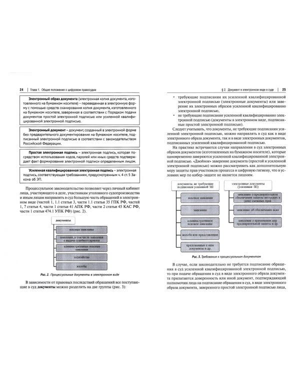 Цифровое правосудие. Цифровой документ. Монография