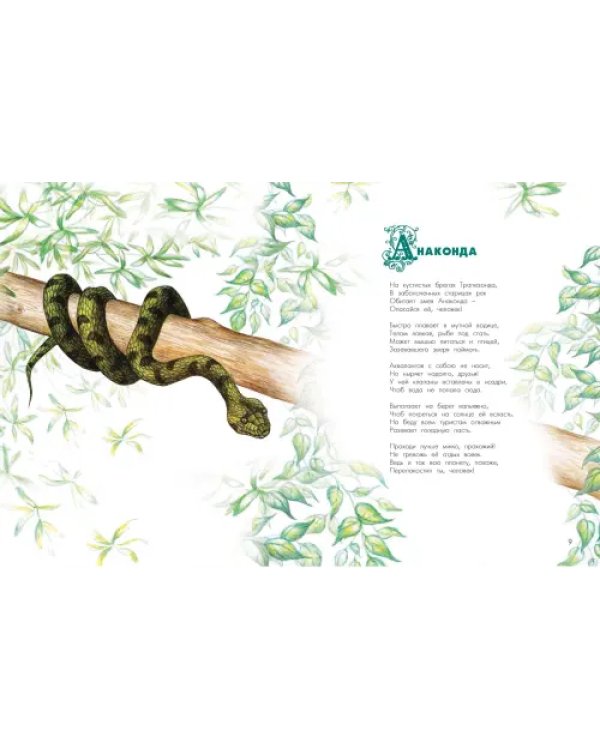 Азбука диковинных зверей. Для взрослых и детей