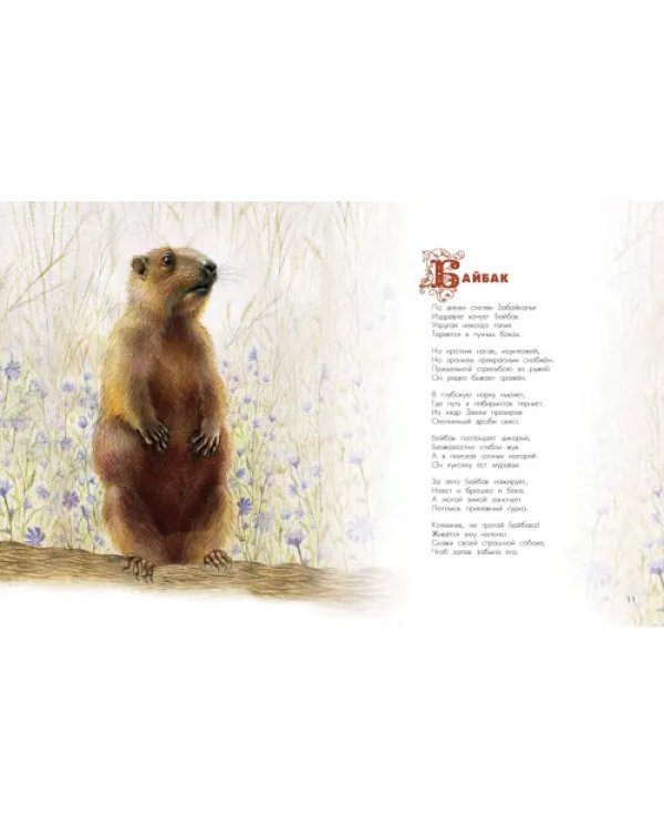 Азбука диковинных зверей. Для взрослых и детей