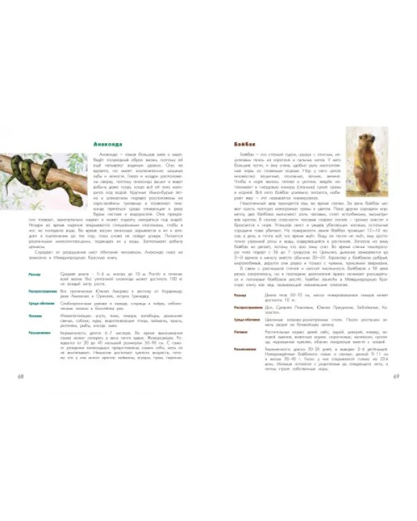 Азбука диковинных зверей. Для взрослых и детей