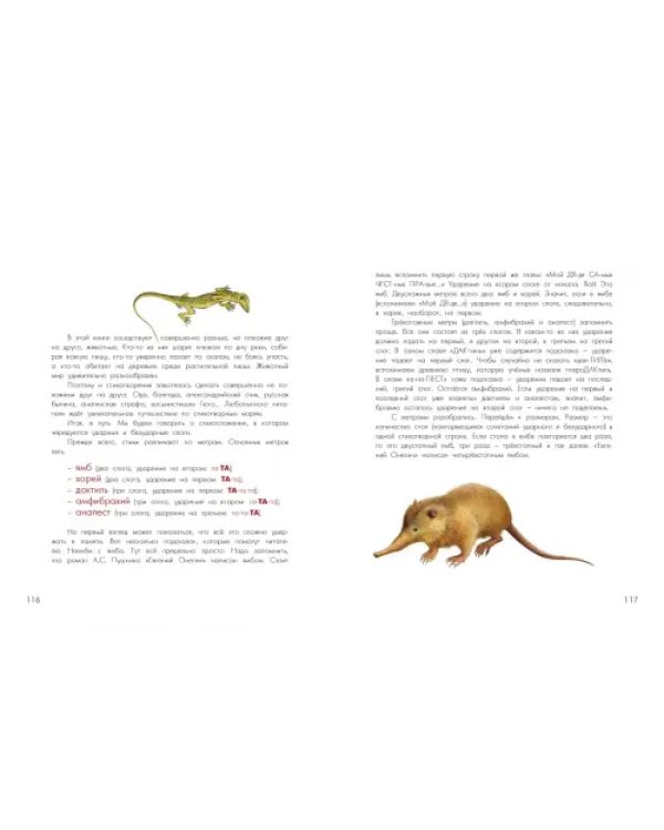 Азбука диковинных зверей. Для взрослых и детей