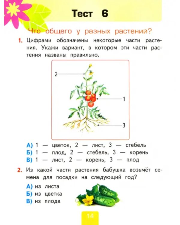 Окружающий мир. 1 класс. Тесты. Часть 1. К учебнику А.А. Плешакова