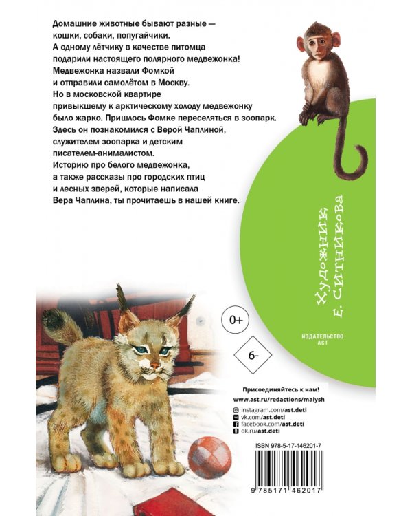 Мои питомцы