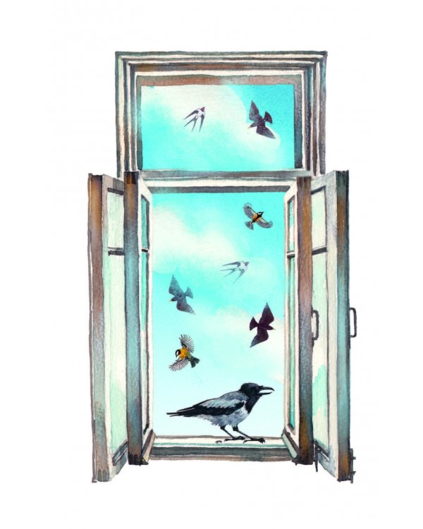 Мои питомцы