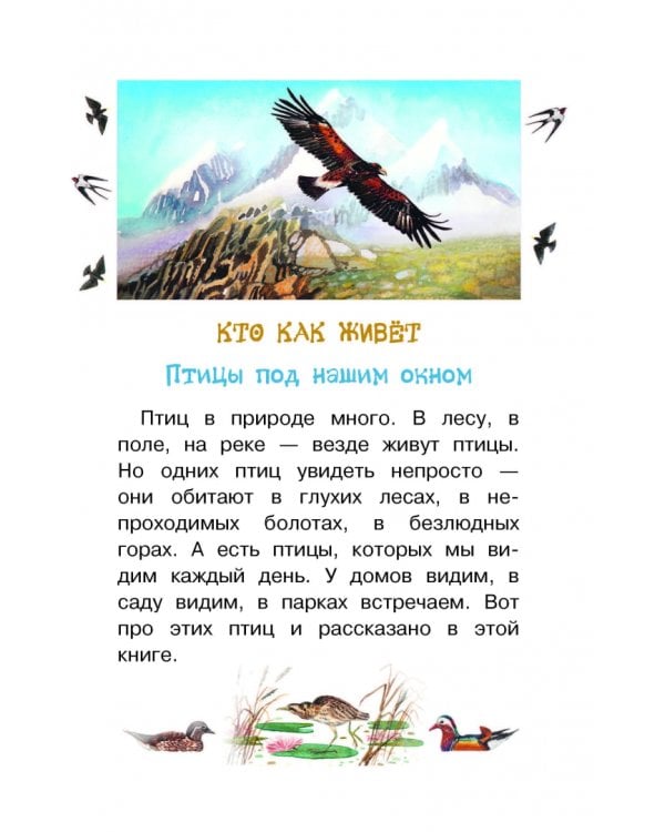 Мои питомцы