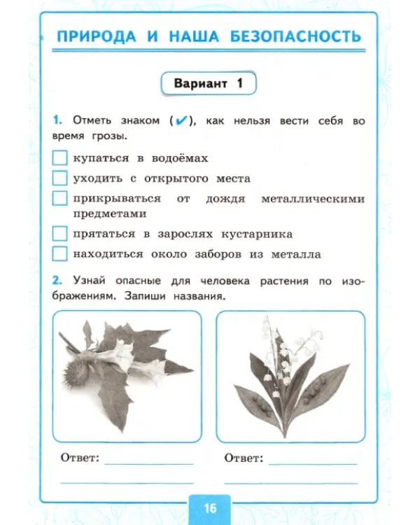 Окружающий мир. 3 класс. Контрольные работы к учебнику А. А. Плешакова. В 2-х частях. Часть 2