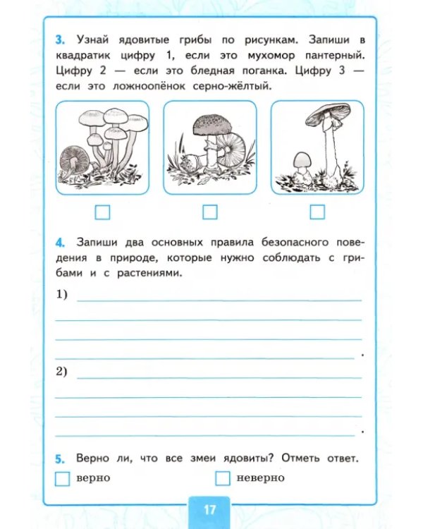 Окружающий мир. 3 класс. Контрольные работы к учебнику А. А. Плешакова. В 2-х частях. Часть 2
