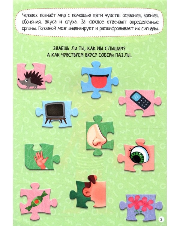 Тело человека