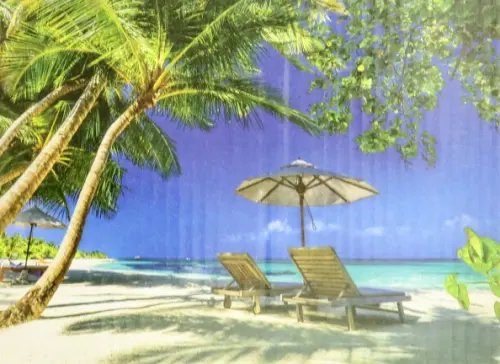 Картина для раскрашивания по номерам. Медовый месяц Картина для раскрашивания по номерам. Медовый месяц