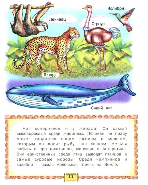 Дополнительное изображение книги «Первая книга знаний»