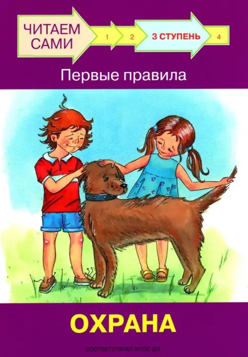 Ступень 3. Первые правила. Охрана