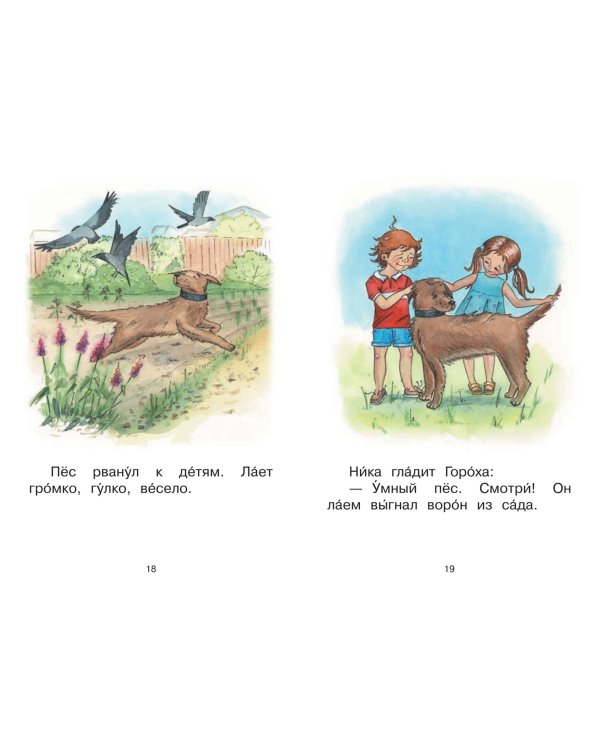 Ступень 3. Первые правила. Охрана